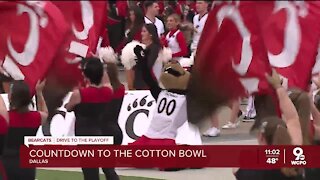 UC football, fans ready for the Cotton Bowl
