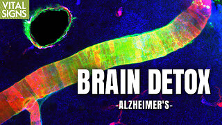 Can Alzheimer’s Brain Toxins Be Cleared by Core Nutrients, Deep Sleep, Qigong?