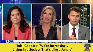 Tulsi Gabbard: 'We're Increasingly Living in a Society That's Like a Jungle'