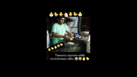 funny video egg turn to Chicken