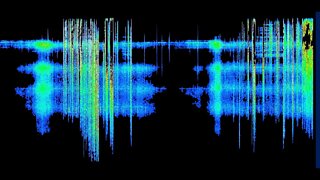 Schumann Resonance ENTRAINMENT!!?? + 6 QUESTIONS 2022 08 29