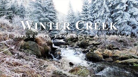 Serene Nature ASMR: Creek Flowing from Snowy Woods | Relaxing Sounds of Tranquility
