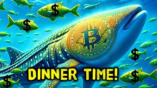 Bitcoin absorbing TradFi, not the other way around. BTC development booms! - Ep.17