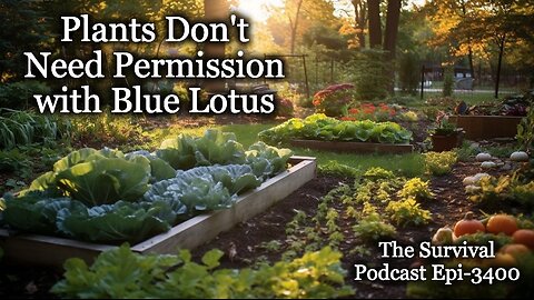 Plants Don't Need Permission with Blue Lotus - Episode-3400