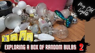 Exploring A Box Of Bulbs - Part 2