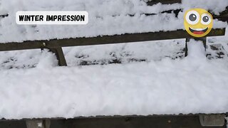 Winter Impression