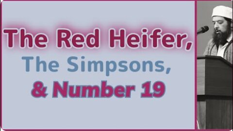 Sheikh Omar Baloch - The Red Heifer, The Simpsons & Number 19