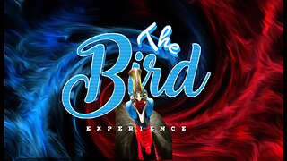 The Bird Experience