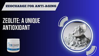 ZeoCharge™ Zeolite for Anti-Aging and Oxidative Stress