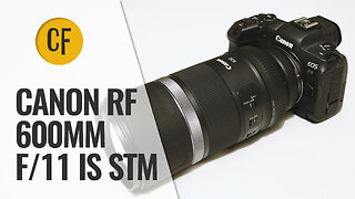 Canon RF 600mm f11 IS STM lens review with samples