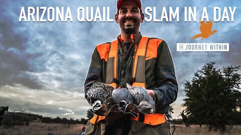 Arizona Quail Slam in a Day: The Journey Within - A Bird Hunter's Diary | Mark Peterson Hunting