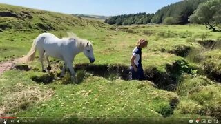 Questioning Things You See - Looking For More Than What You Are Being Told - Horse Training