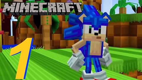 I ABSOLUTELY LOVE THIS DLC!! | Sonic X Minecraft DLC PC Let's Play - Part 1