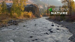 Relaxing Nature Video & Sound - Autumn River Passage