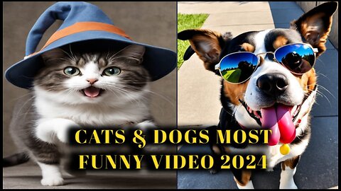 Paws and Claws Comedy: Hilarious Cat and Dog Moments 2024!"