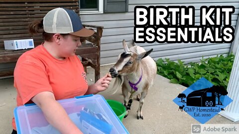 Goat Birth ESSENTIALS – What’s in my Birth Kit?