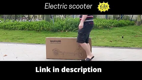 Electric Kick Scooter 350W.