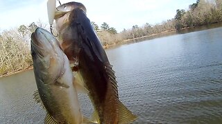 Surprising Catch On A Topwater Spook!!!