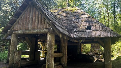 Exploring Rustic Log Shelter Day Use Group Picnic Site @ Tollgate Campground! | Mount Hood Oregon 4K