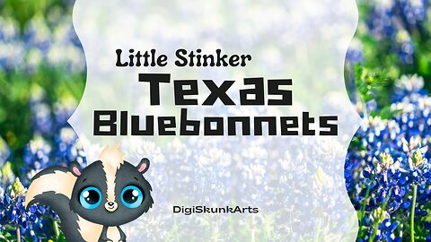 Little Stinker Shares Texas Bluebonnets