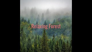 Relaxing Forest Music