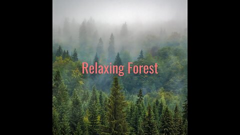 Relaxing Forest Music