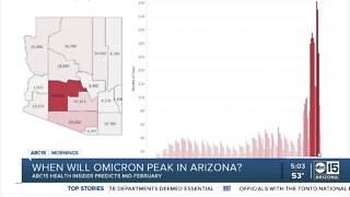 When will omicron peak in Arizona?