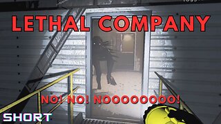 Lethal Company | Deadly Duo