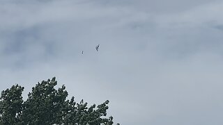 Blue angels, Billings, Montana