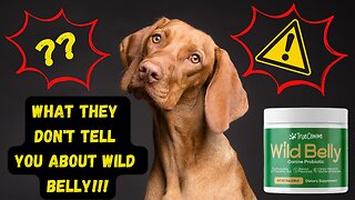 THE WHOLE TRUTH ABOUT WILD BELLY CANINE PROBIOTIC!