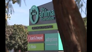 Local leaders demand answers, call for audit of The Animal Foundation