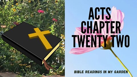 ACTS Chapter 22 | NRSV Bible