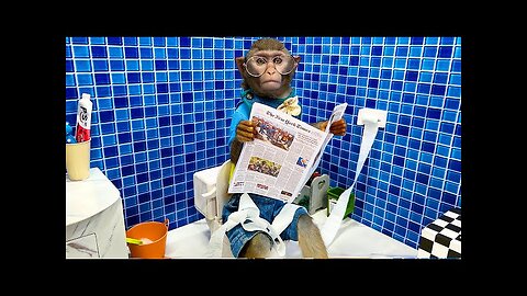 Monkey Baby Going To Toilet 😂