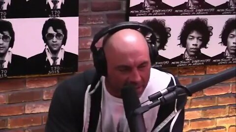 2016: Jordan Peterson tells Joe Rogan how tyranny happens 'one tiny step at a time'