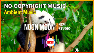 Noon Moon Mike Block feat Folk Physics, Ambient Music, Bright Music, Happy Music