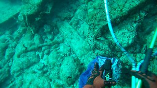 Lobster Scuba diving Pompano Beach Florida