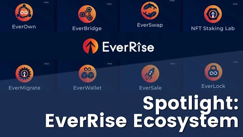 Leicester On The EverRise Ecosystem (SOME SCREENS INCLUDED)