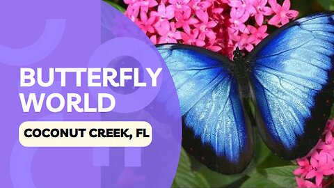 Places to go: Butterfly World, Coconut Creek, FL