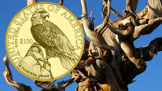 Behold The 2023 American Liberty Gold Coin