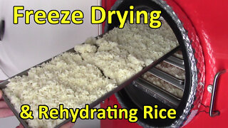 Freeze Drying Cooked Rice