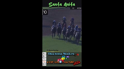 Daytona Stakes 2024 - Shorty