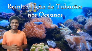 Reintrodução de Tubarões nos Oceanos