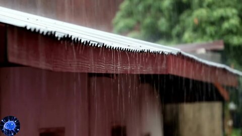 Rain Drops Dancing On A Tin Roof | Rain Sounds for Sleeping, Soothing Rain, Nature Sounds, Insomnia