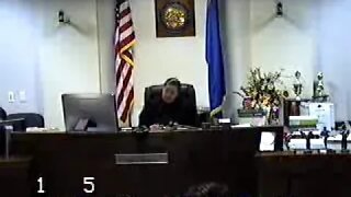 Susan Donohue matter before Clark County Family Court Judge Cheryl Moss 2/7/18 part 2