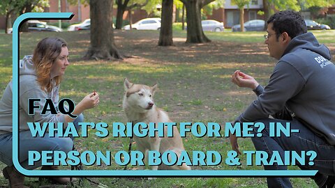 FAQ: What Is Right For Me? In-Person Or Board | Daycare & Train?