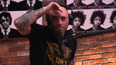 Joe Rogan & Co on Almost Fighting Wesley Snipes, BJJ, UFC and UFC in NY - King Joe Rogan - 2016