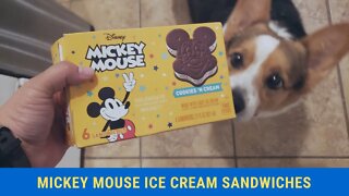 Trying the Mickey Mouse Ice Cream Sandwiches!