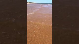 Walking through the water at the beach