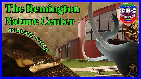 BEC Watch Entries: #34 The Remington Nature Center