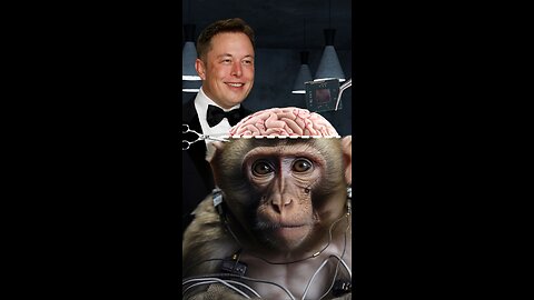 Neuralinks untold story of the suffering monkeys.